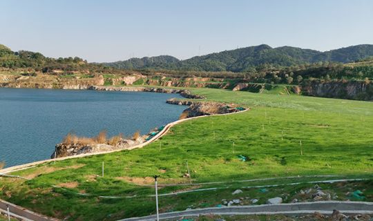 新桥街道联发石场复绿工程