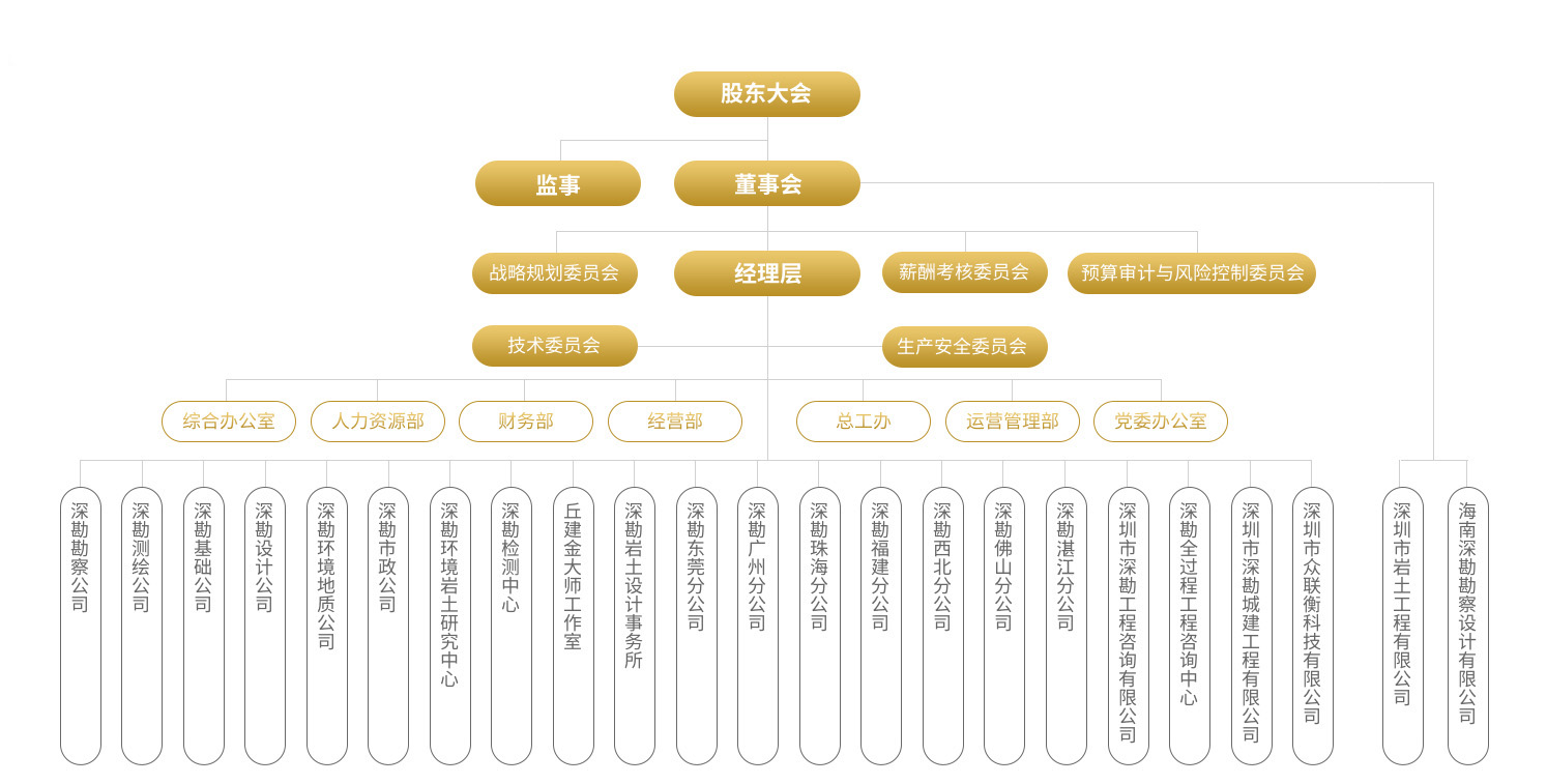 组织机构20240515